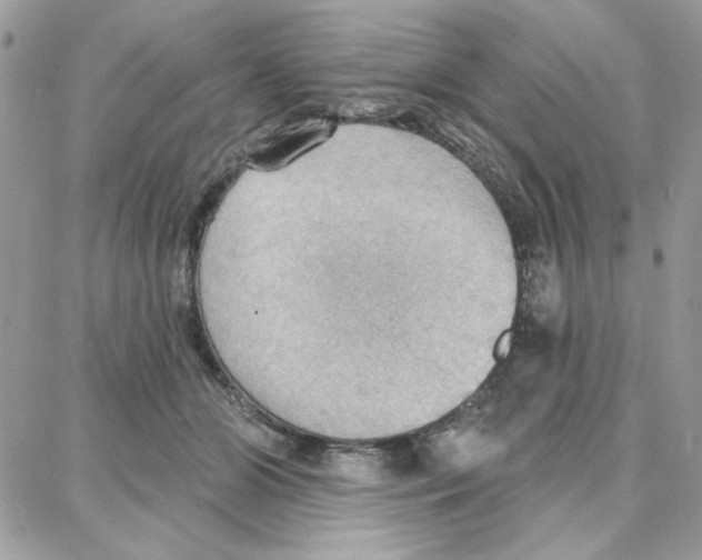 X0000087740510200706041040