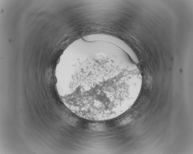 X0000087740511200706041040