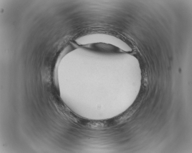 X0000087740512200706041040