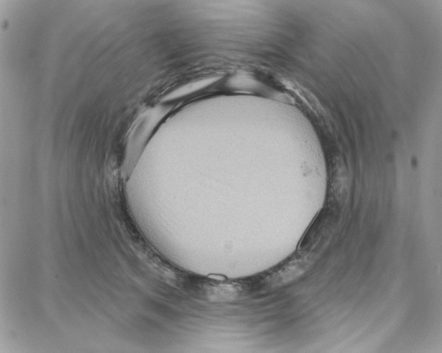 X0000087740513200706041040