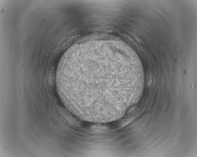 X0000087740515200706041040