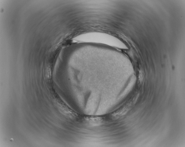 X0000087740517200706041040