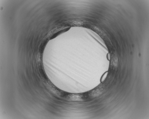 X0000087740518200706041040