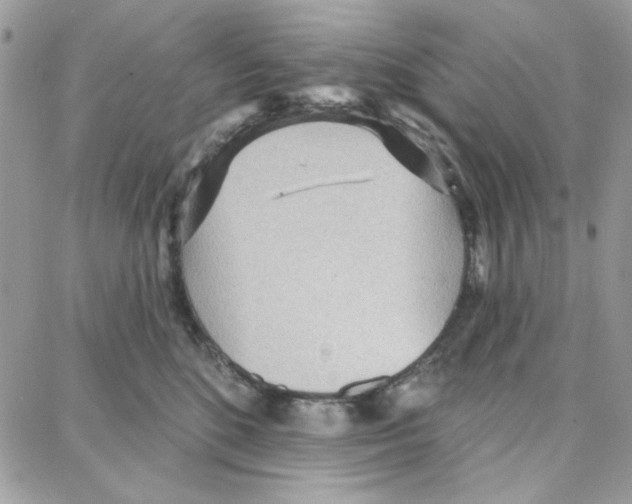 X0000087740520200706041040