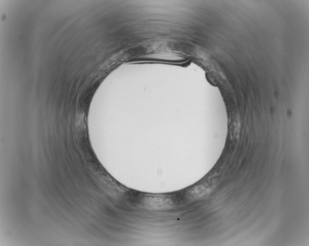 X0000087740521200706041040