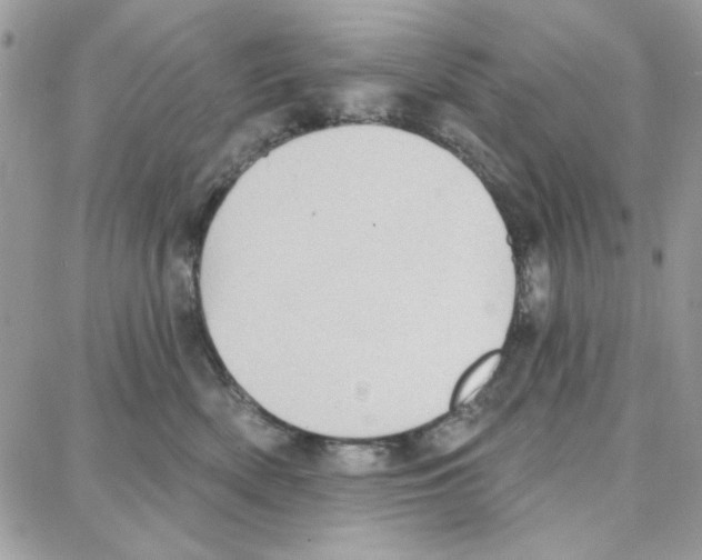 X0000087740522200706041040