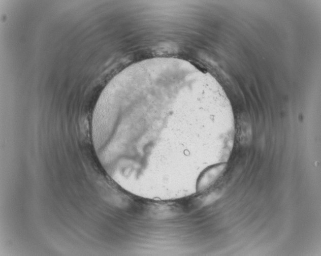 X0000087740523200706041040