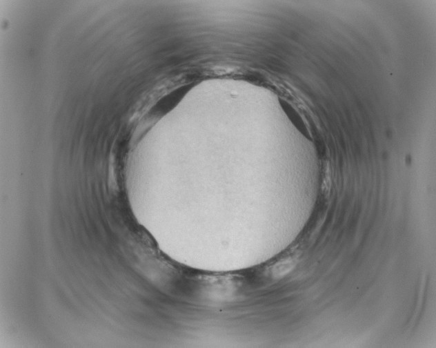 X0000087740524200706041040