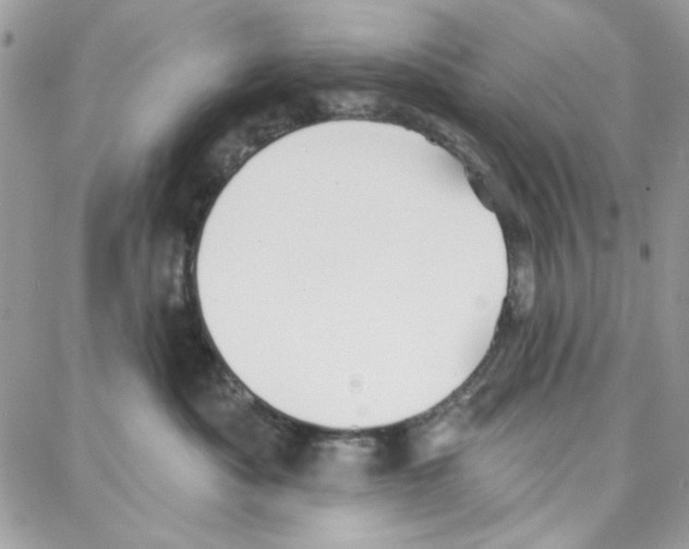 X0000087740525200706041040