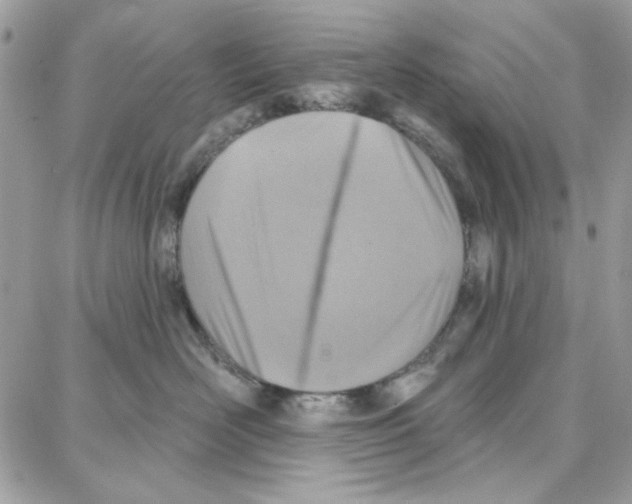 X0000087740526200706041040