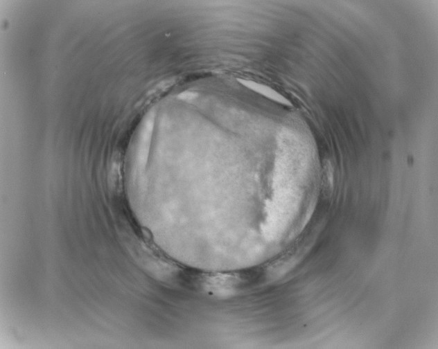 X0000087740527200706041040