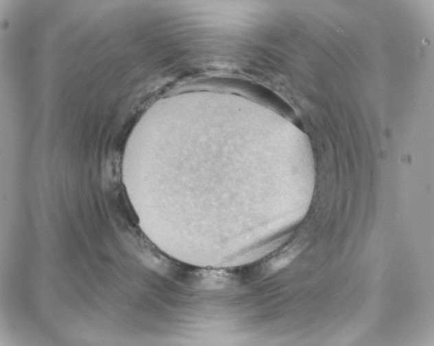 X0000087740528200706041040