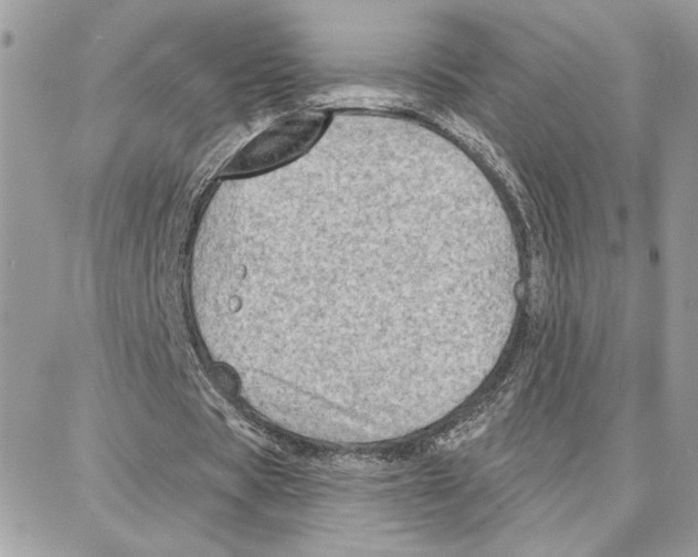 X0000087740529200706041039