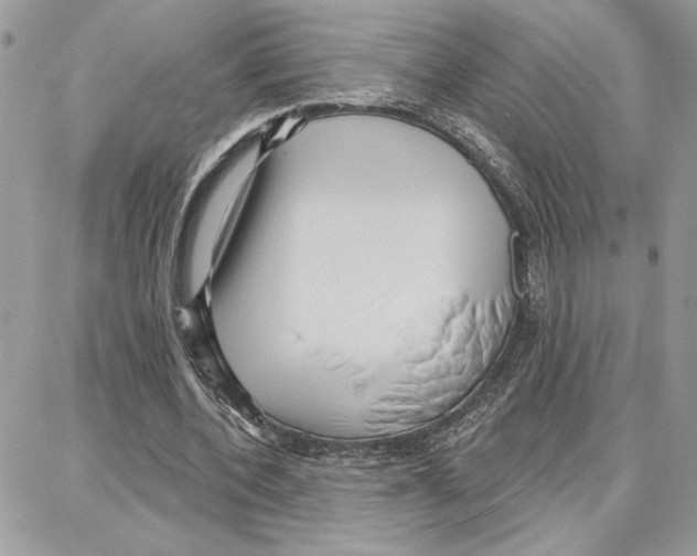 X0000087740532200706041039