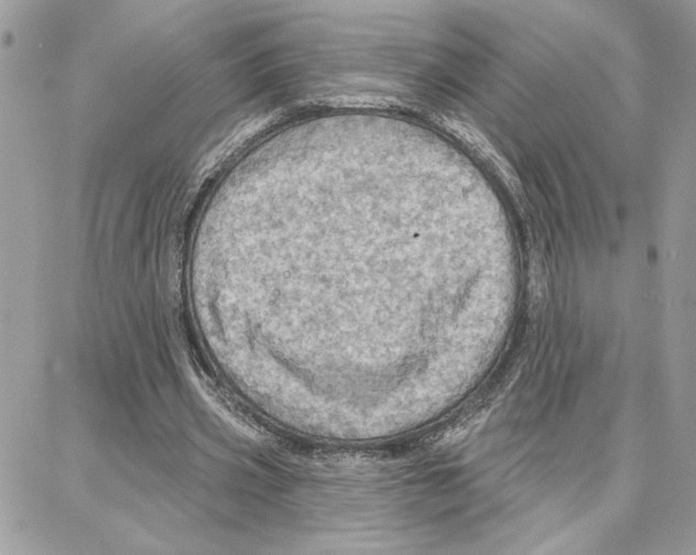 X0000087740533200706041039