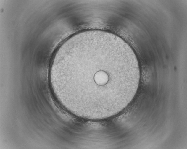 X0000087740534200706041039