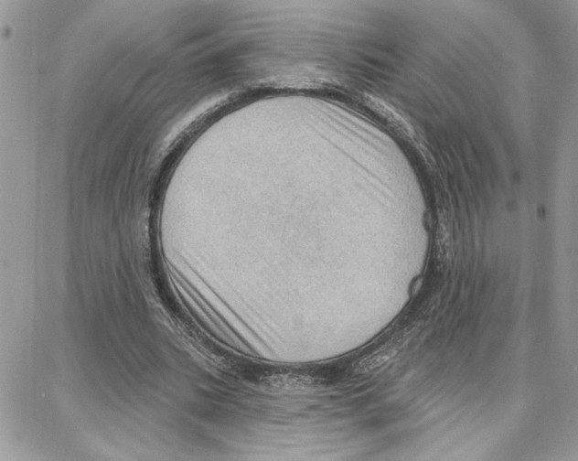 X0000087740535200706041039