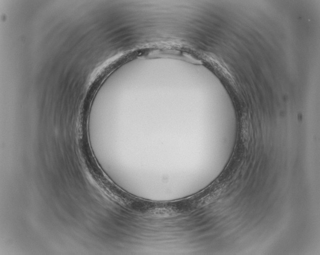 X0000087740536200706041039