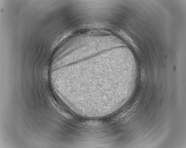 X0000087740537200706041039