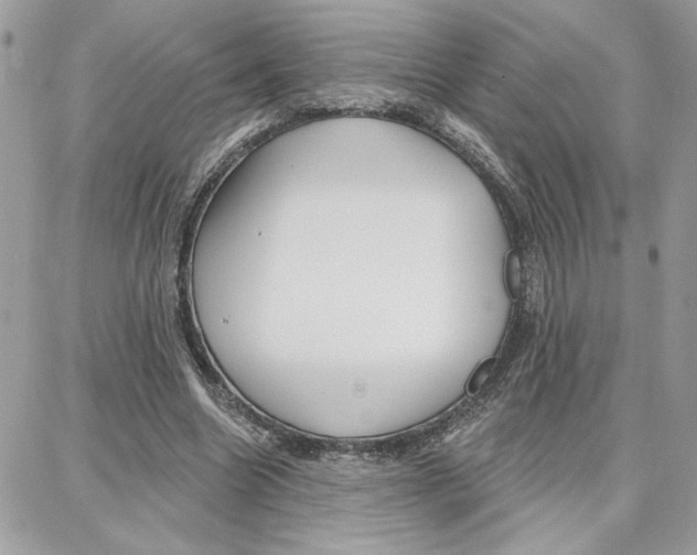 X0000087740538200706041039