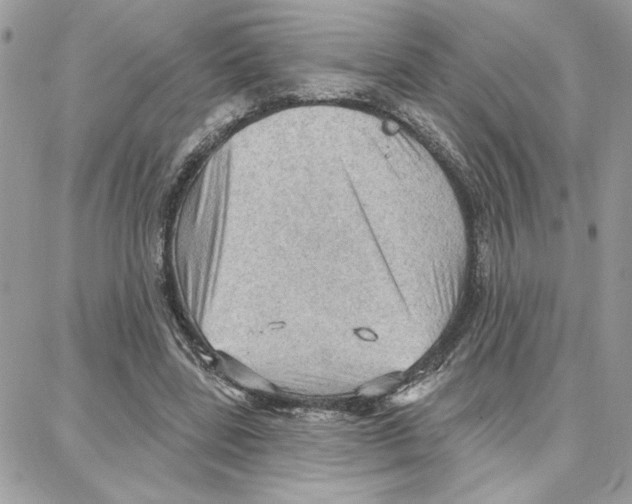 X0000087740539200706041039