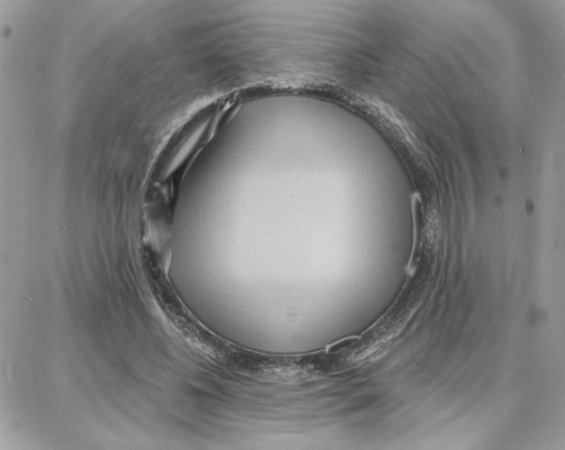 X0000087740540200706041039