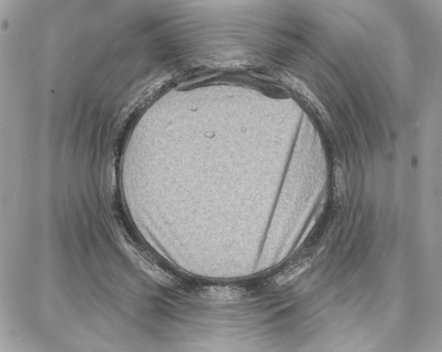 X0000087740541200706041039