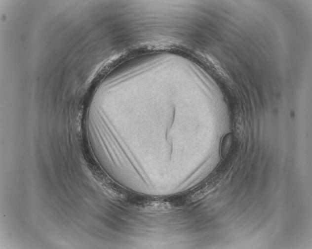 X0000087740543200706041039