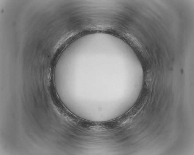 X0000087740544200706041039