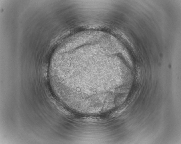 X0000087740545200706041039