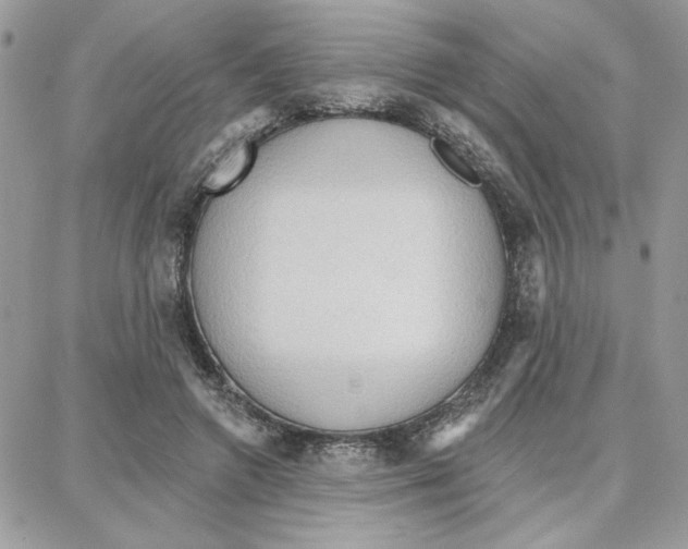 X0000087740546200706041039