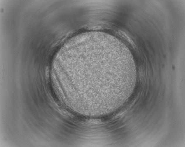 X0000087740549200706041039