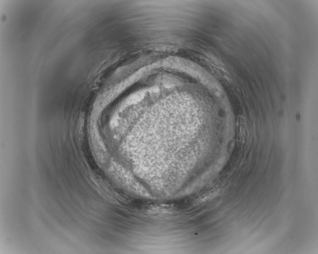 X0000087740550200706041039