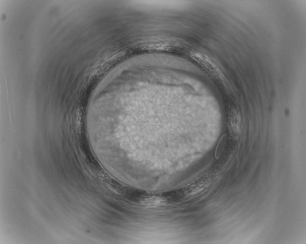 X0000087740551200706041039