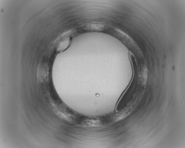 X0000087740552200706041039