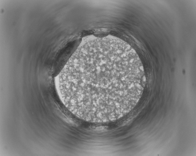 X0000087740553200706041039