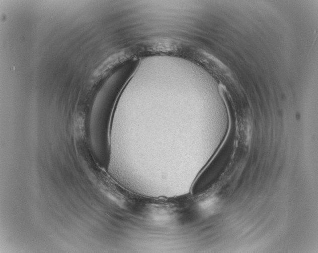 X0000087740556200706041039