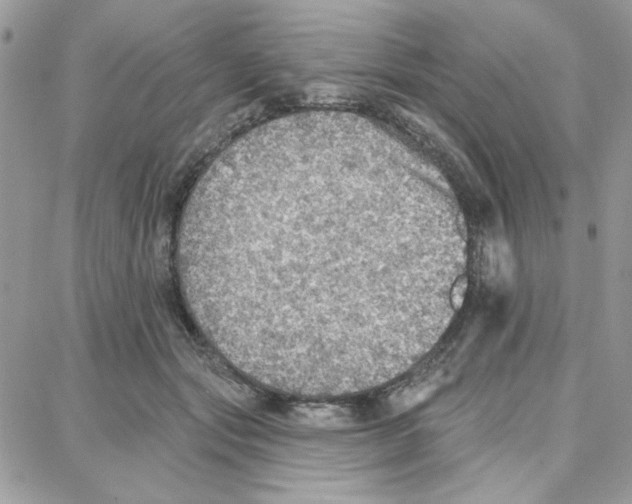 X0000087740557200706041039