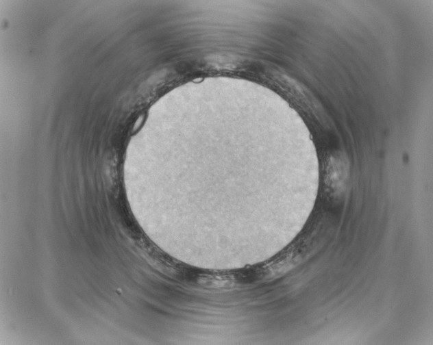 X0000087740559200706041039