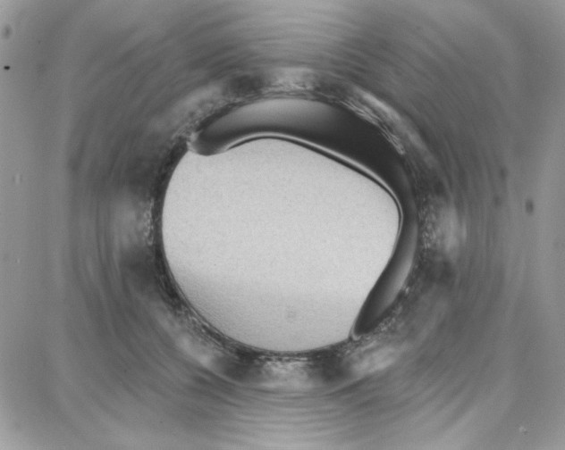 X0000087740560200706041039