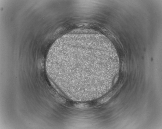 X0000087740561200706041039