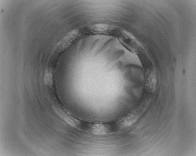 X0000087740562200706041039