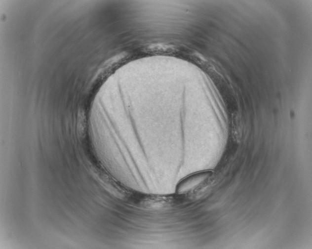 X0000087740563200706041039