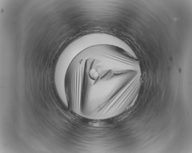 X0000087740564200706041039