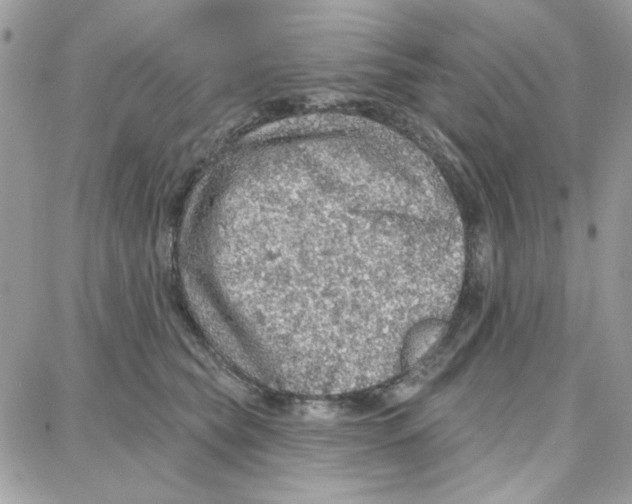 X0000087740565200706041039