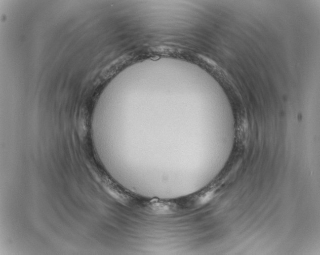 X0000087740566200706041039