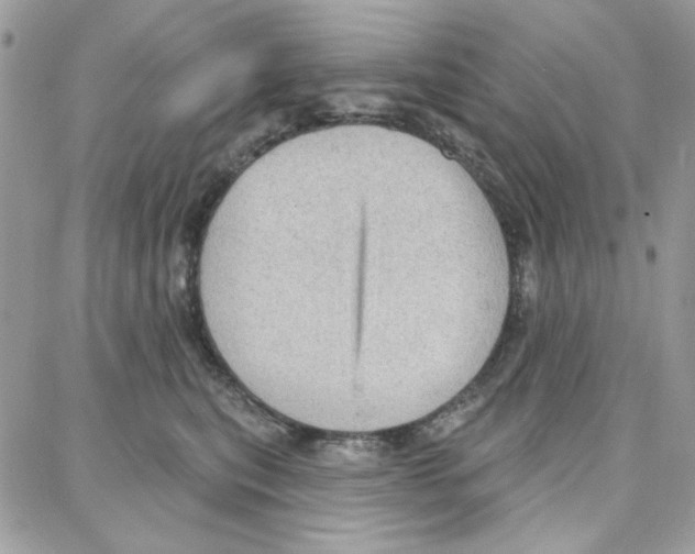 X0000087740567200706041039