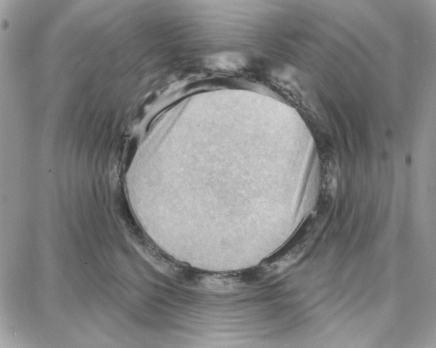 X0000087740568200706041039