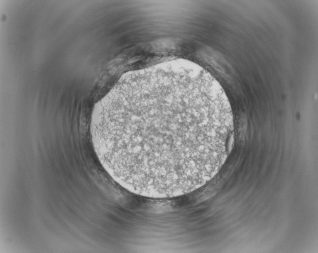 X0000087740569200706041039