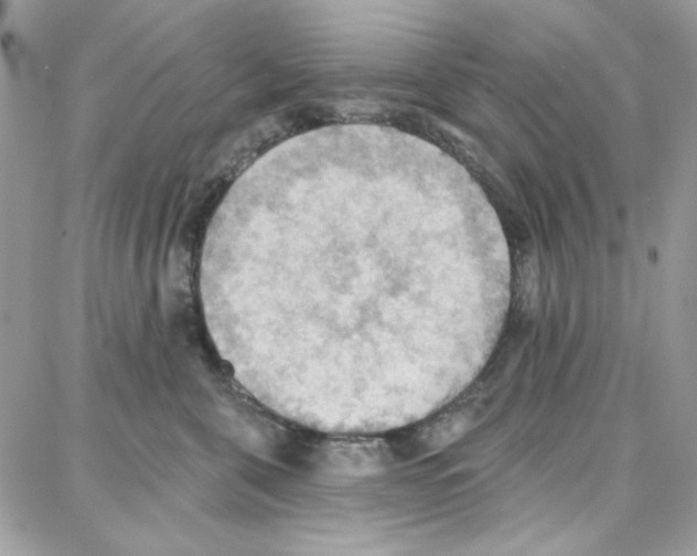 X0000087740571200706041040